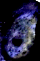 e0103408_12193648.gif