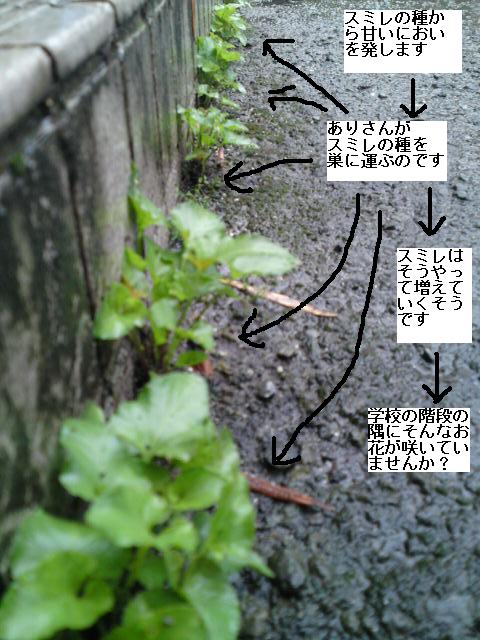 九州環境教育ミーティング実行委員会 第一回目会議_f0224320_11544170.jpg