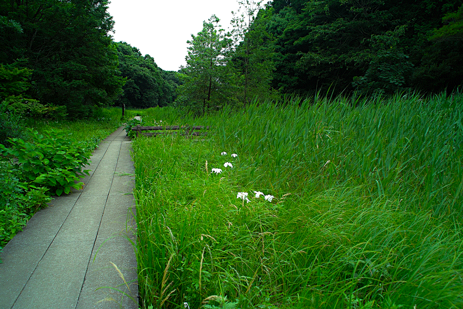 c0223825_1312264.gif