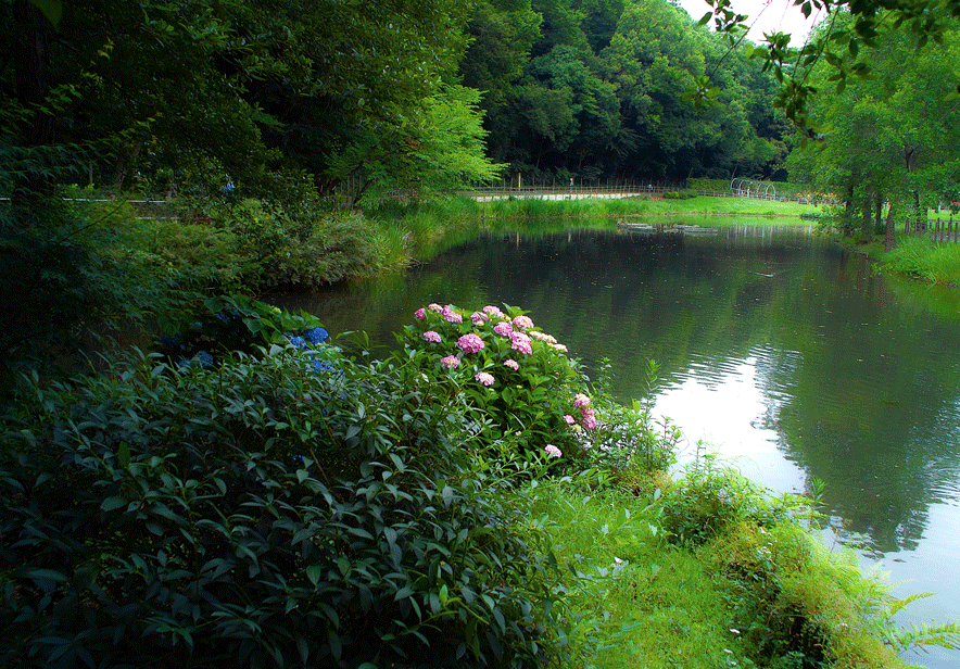 c0223825_1374270.gif