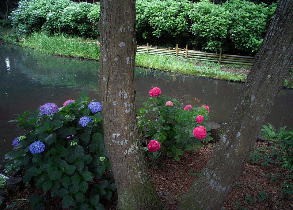 c0223825_1402953.gif