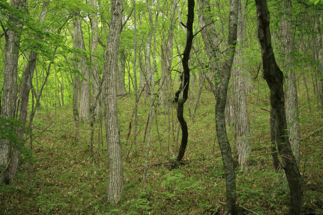 f0017530_20451596.jpg