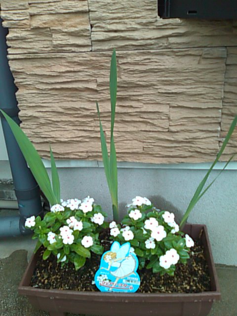 f0149538_15544776.jpg