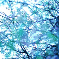 d0115342_9464.jpg