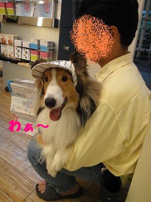 お台場トコトコ♪_e0195743_1259998.jpg