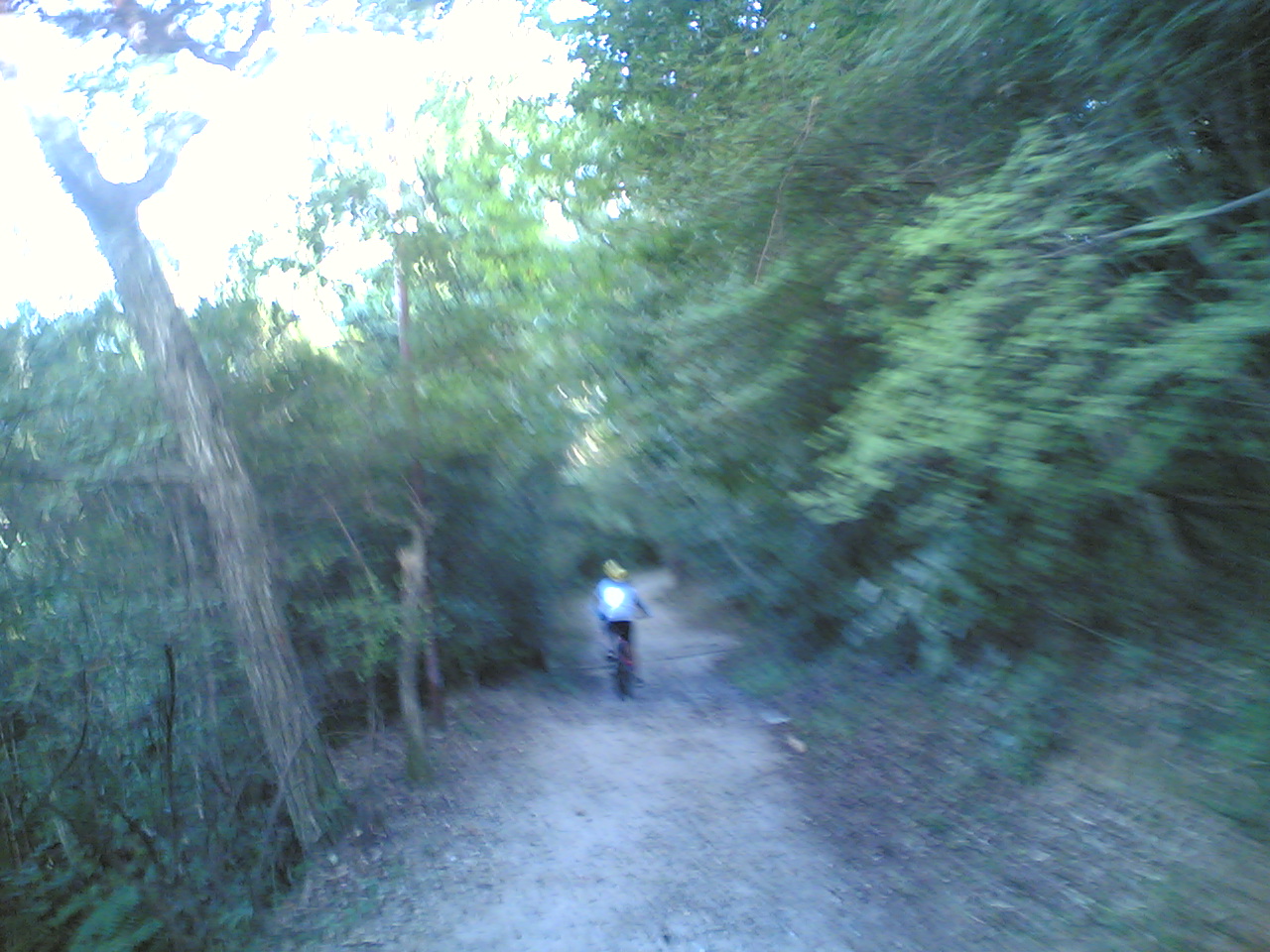 近場で川遊び Improvised Architecture And Design