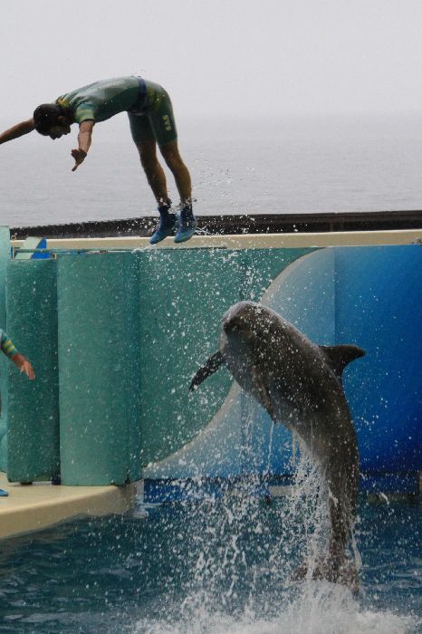 江ノ島水族館その二_c0135957_17214368.jpg