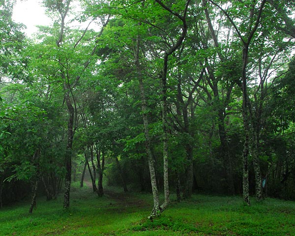 e0035757_2362196.jpg