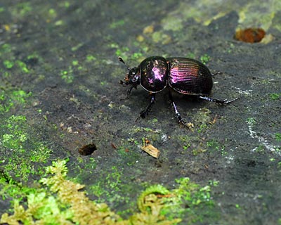 e0035757_2363422.jpg