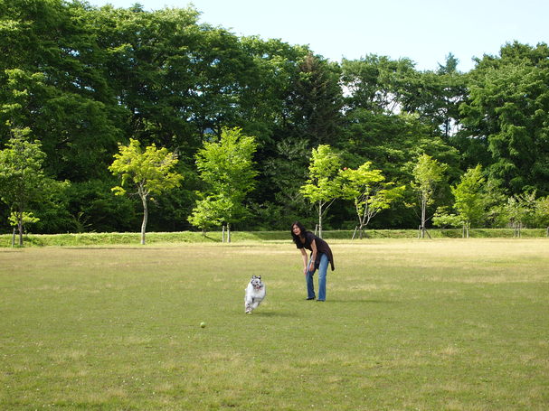 軽井沢ライフ　③　ワイナリー巡り_e0169470_22391950.jpg