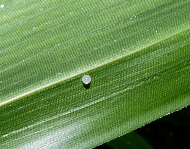 d0019074_6512928.jpg