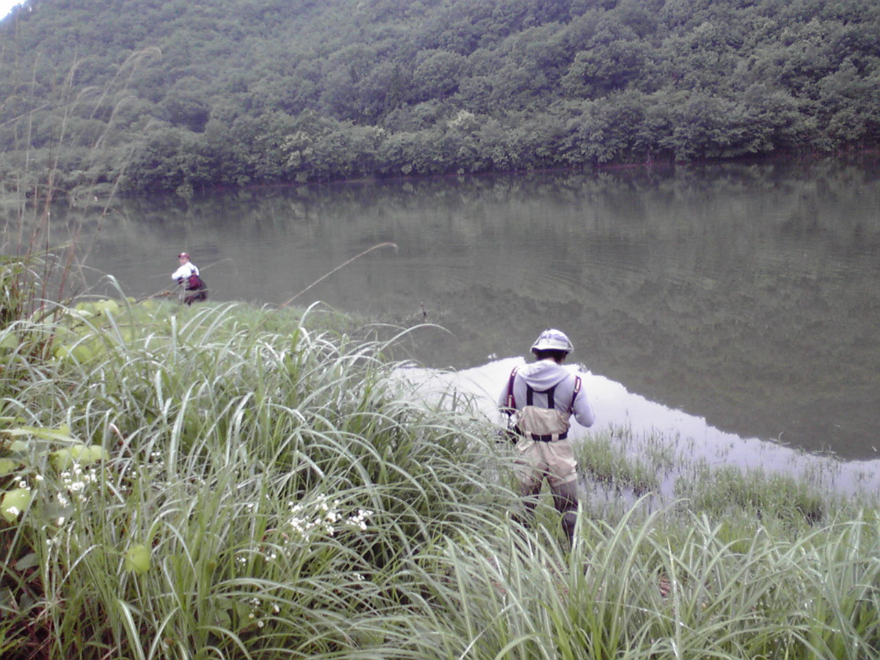 フライロッダース取材_c0127476_10114563.jpg