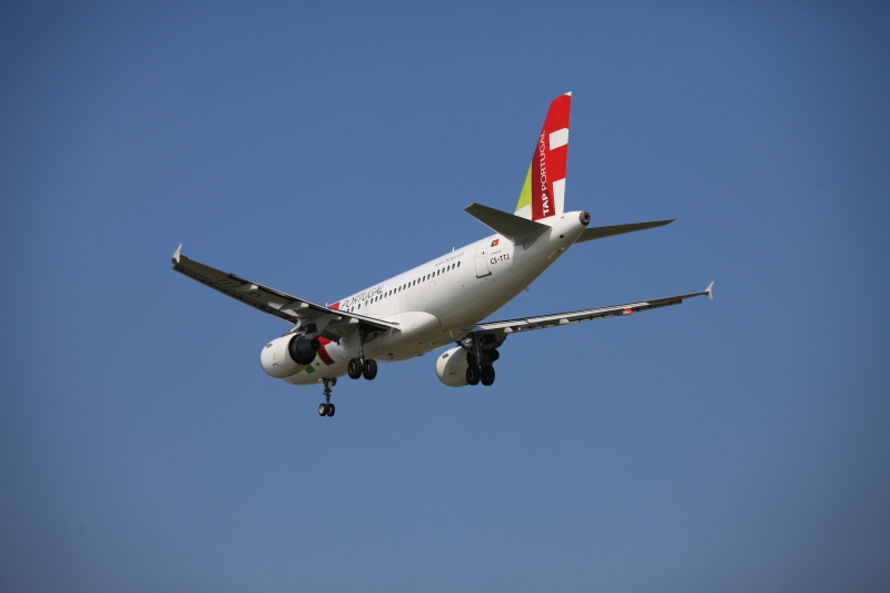 c0187779_75223.jpg