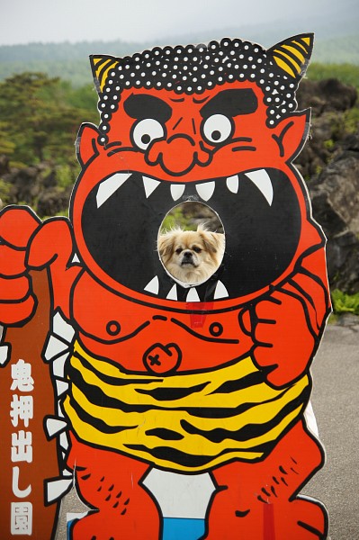 軽井沢　2_c0109780_19185479.jpg