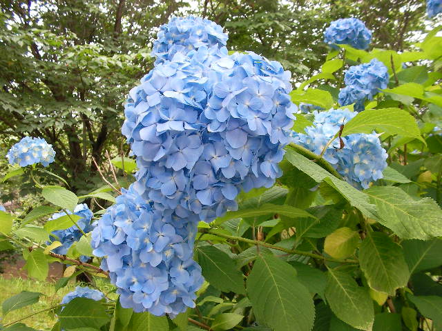 c0214384_14453299.jpg