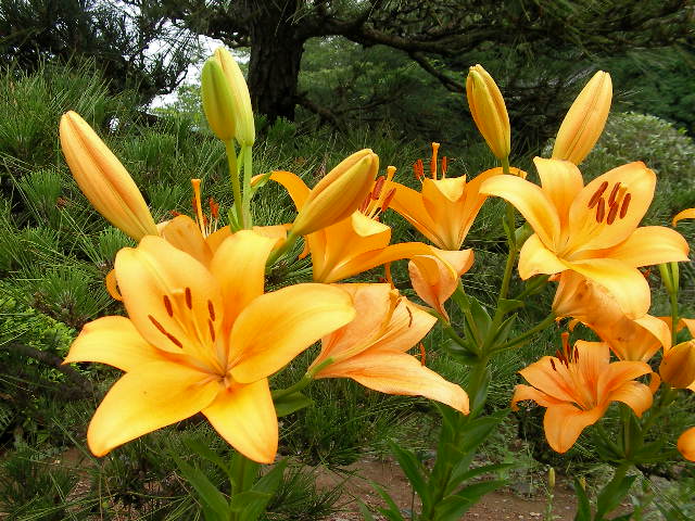c0214384_1459447.jpg