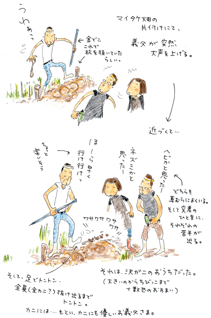 f0236291_90035.gif