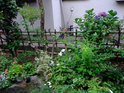 d0153294_13493051.jpg