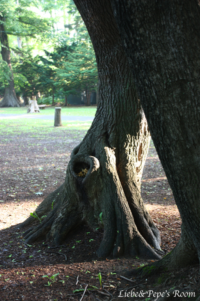 f0001895_14131783.jpg