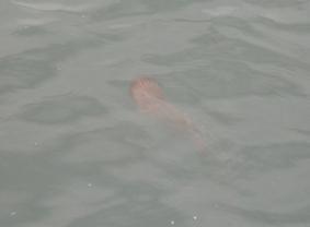 f0033997_2334198.jpg