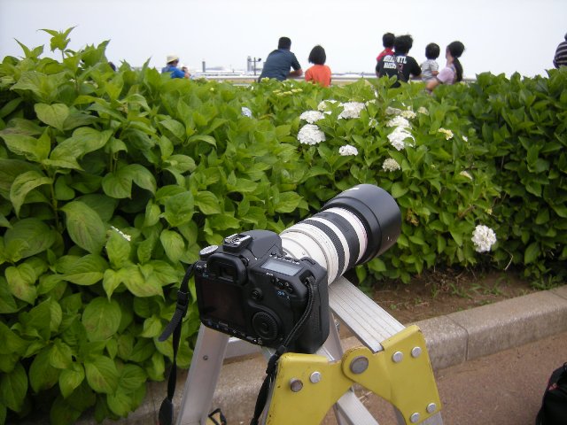 b0138798_10455991.jpg