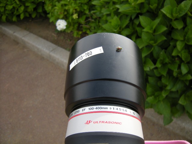 b0138798_1046103.jpg