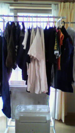 c0090100_1119776.jpg