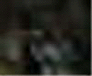 e0103408_1356523.gif