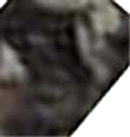 e0103408_1358014.gif