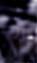 e0103408_13582472.gif
