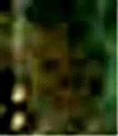 e0103408_13595517.gif