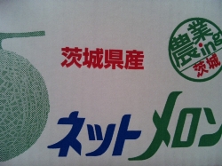 つかの間の充実!小旅行・・・。_d0091909_1820684.jpg