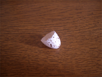 c0143711_2015391.gif