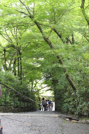 京都で再会！-梅雨の合い間の晴れた日-　Part１_d0128712_14263212.jpg