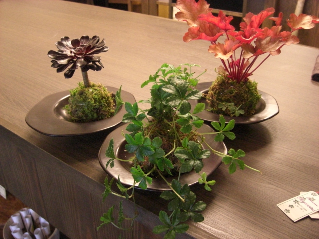 f0226713_21254845.jpg
