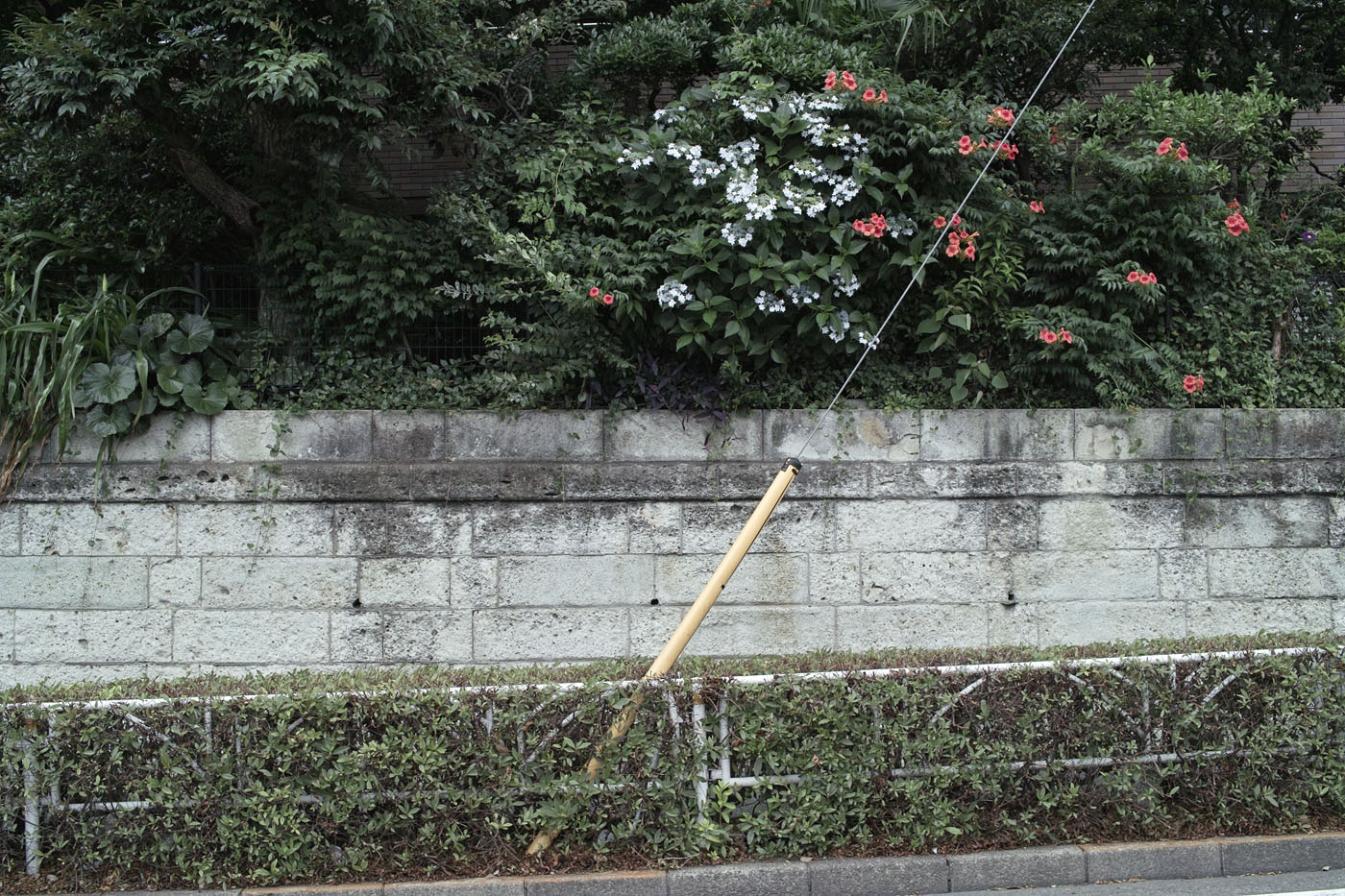 c0213117_0281131.jpg