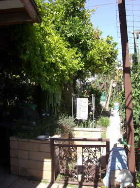 f0105318_25795.jpg