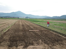 北新庄小学校3年生の子供達が大豆の種蒔きをしました_e0061225_171026.jpg