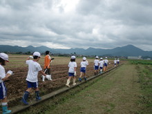 北新庄小学校3年生の子供達が大豆の種蒔きをしました_e0061225_17233616.jpg