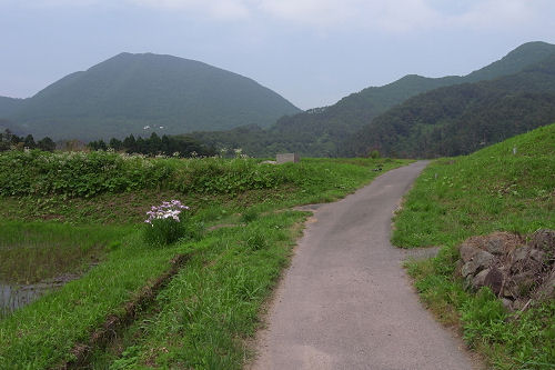 f0007926_1043395.jpg