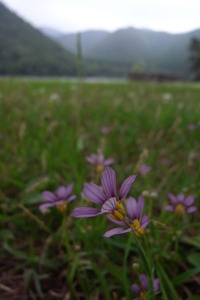 f0007926_10503644.jpg