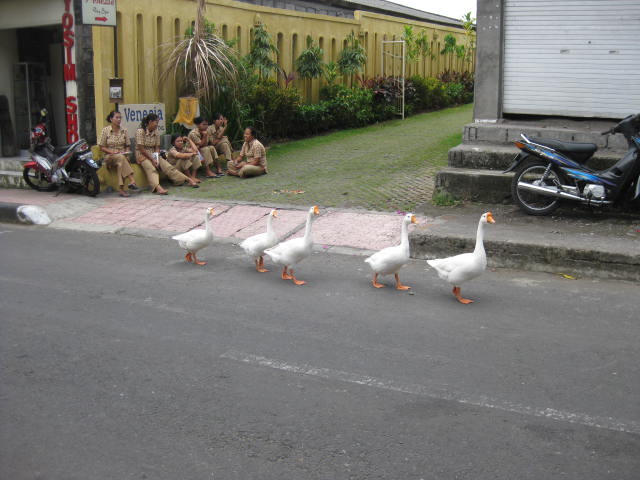 f0234427_21162160.jpg