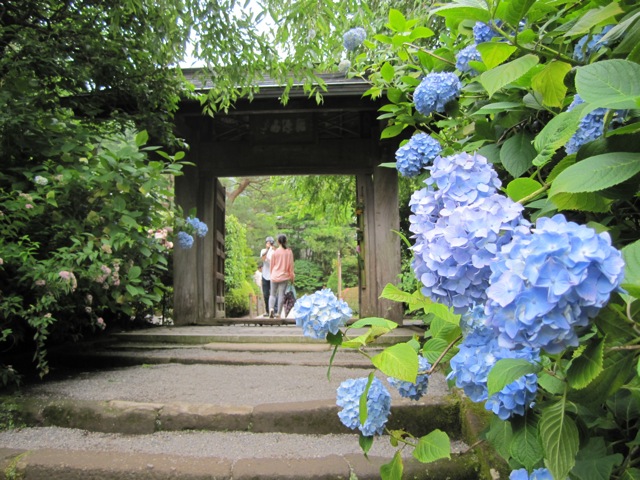 a0054228_1853326.jpg