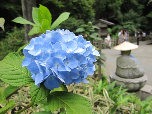 a0054228_18545470.jpg
