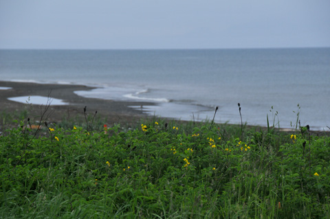 c0132230_209459.jpg