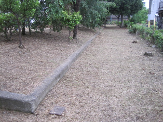 b0167733_15102375.jpg