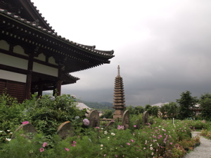 d0105133_17527.jpg