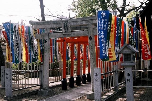 e0149335_20454677.jpg