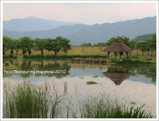 ことりっぷ　in 長野⑤_c0194836_22164145.jpg