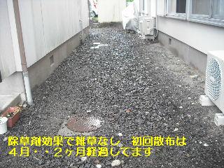 賃貸物件・定期管理_f0031037_2205431.jpg